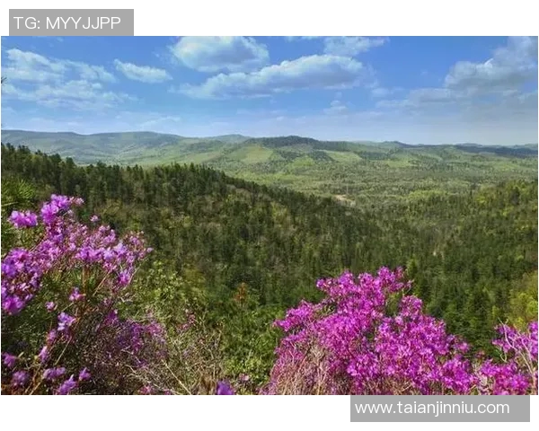 攀岩高手陈芳分享成功秘诀与训练心得的独家专访