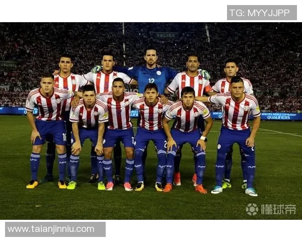 南京羽毛球队在世界杯中的精彩配合表现分析与点评