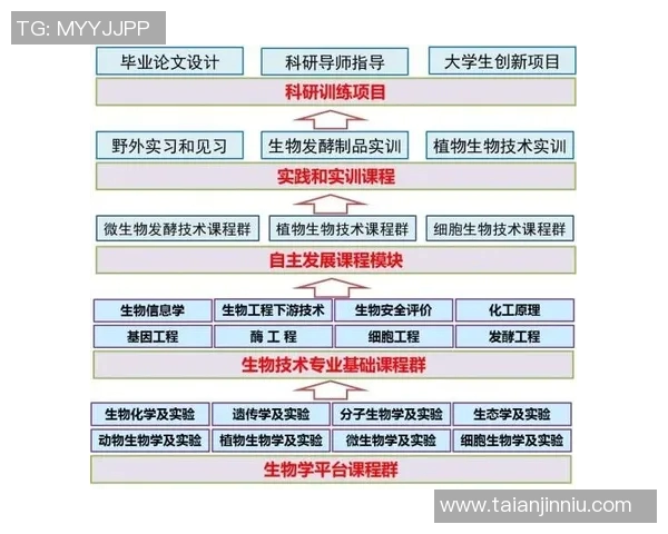 广州网球队进攻体系解析：网球战术的创新与实践探索