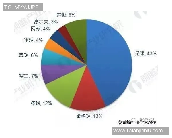 成都足球队实力分析与未来发展展望聚焦足球的魅力与挑战