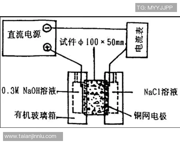 重庆乒乓球队边路渗透战术分析及其对比赛结果的影响探讨